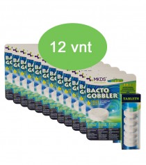 BACTO GOBBLER bakterijų tabletės nuotekoms, MAXI pakuotė (kaina nurodyta 1 vnt.) 